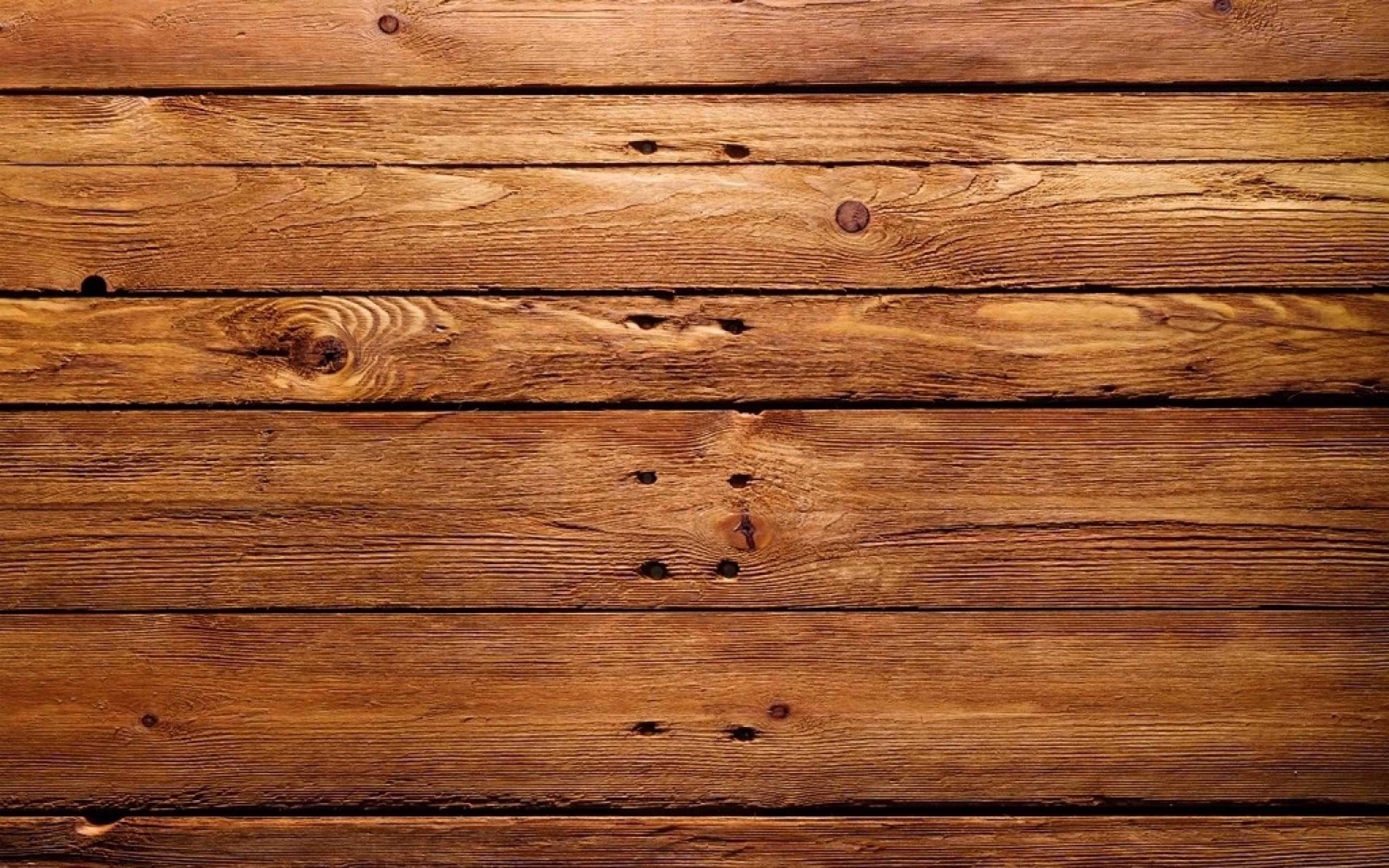 Trees-Wood-Patterns-Textures-Backgrounds.jpg